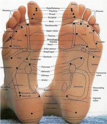 About reflexology. footchart